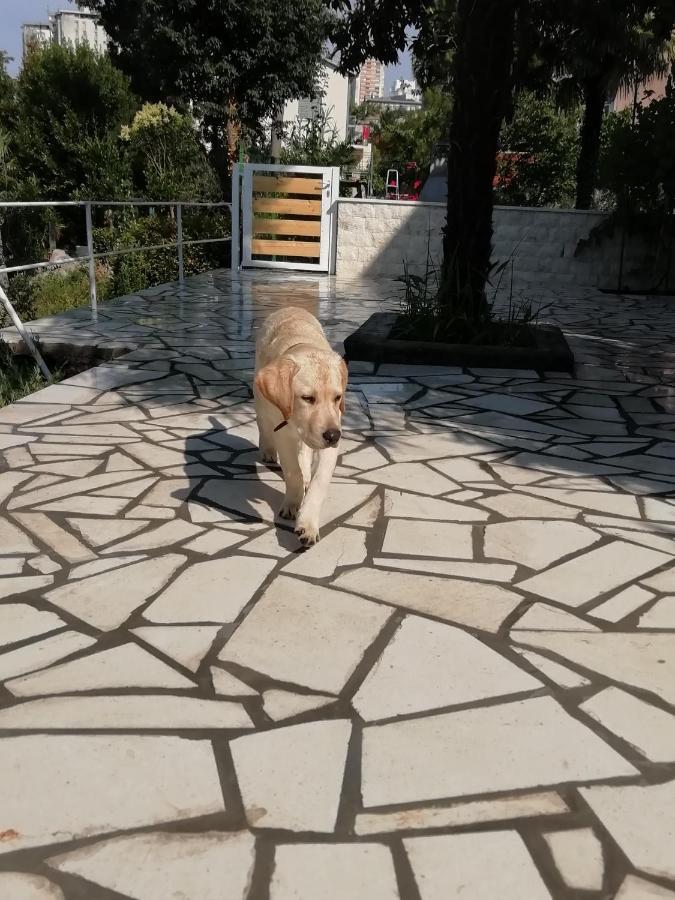 Apartmani Palmas Rijeka Exterior foto